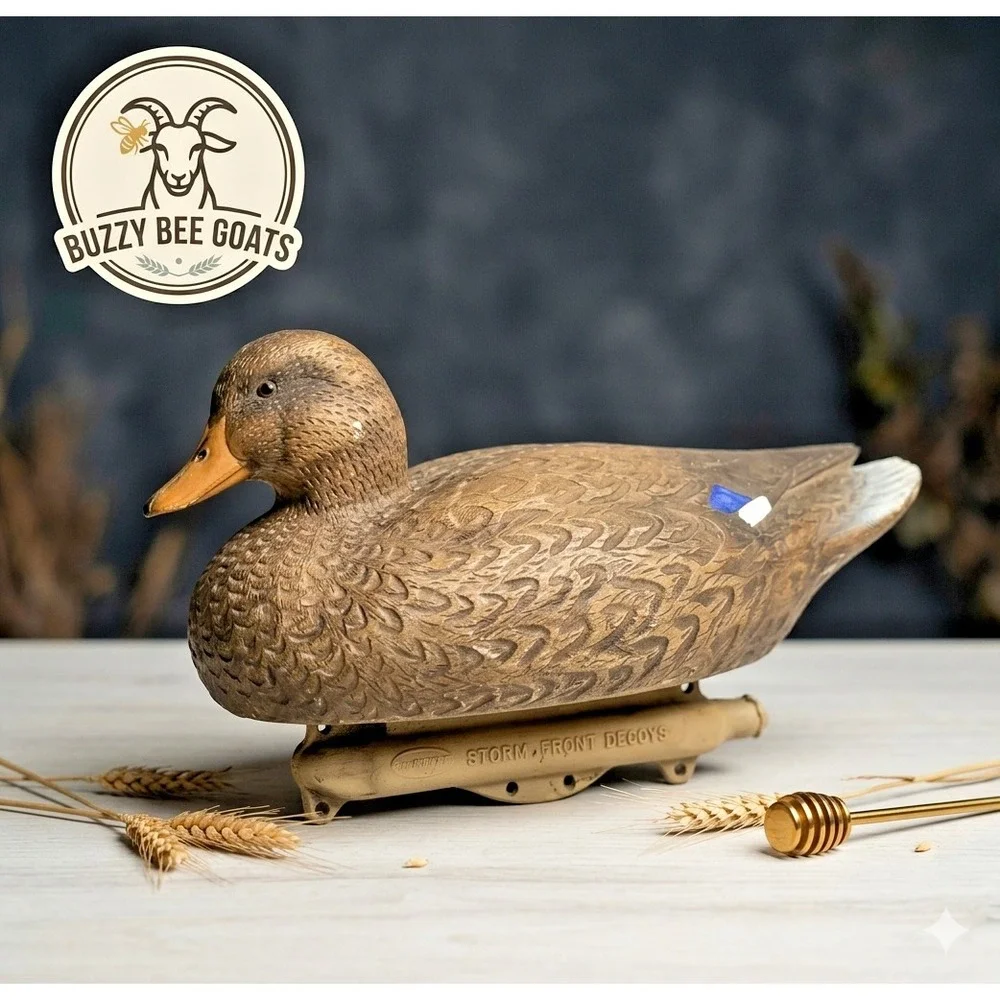 Vintage Flambeau Storm Front Decoy Duck Hunting Collectible Waterfowl